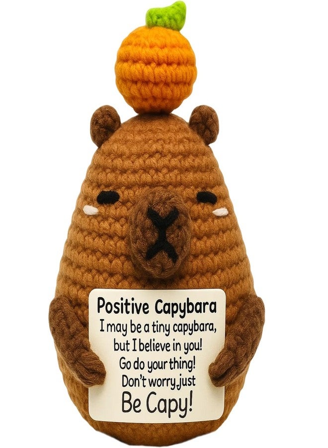 squishy Crochet Toys, Soft Crochet Dolls for Girls, Soft Toys Handmade Gifts with Message for Women Men Friends Coworkers Birthday Christmas Gift Home Decor (Brown C) - Image 1